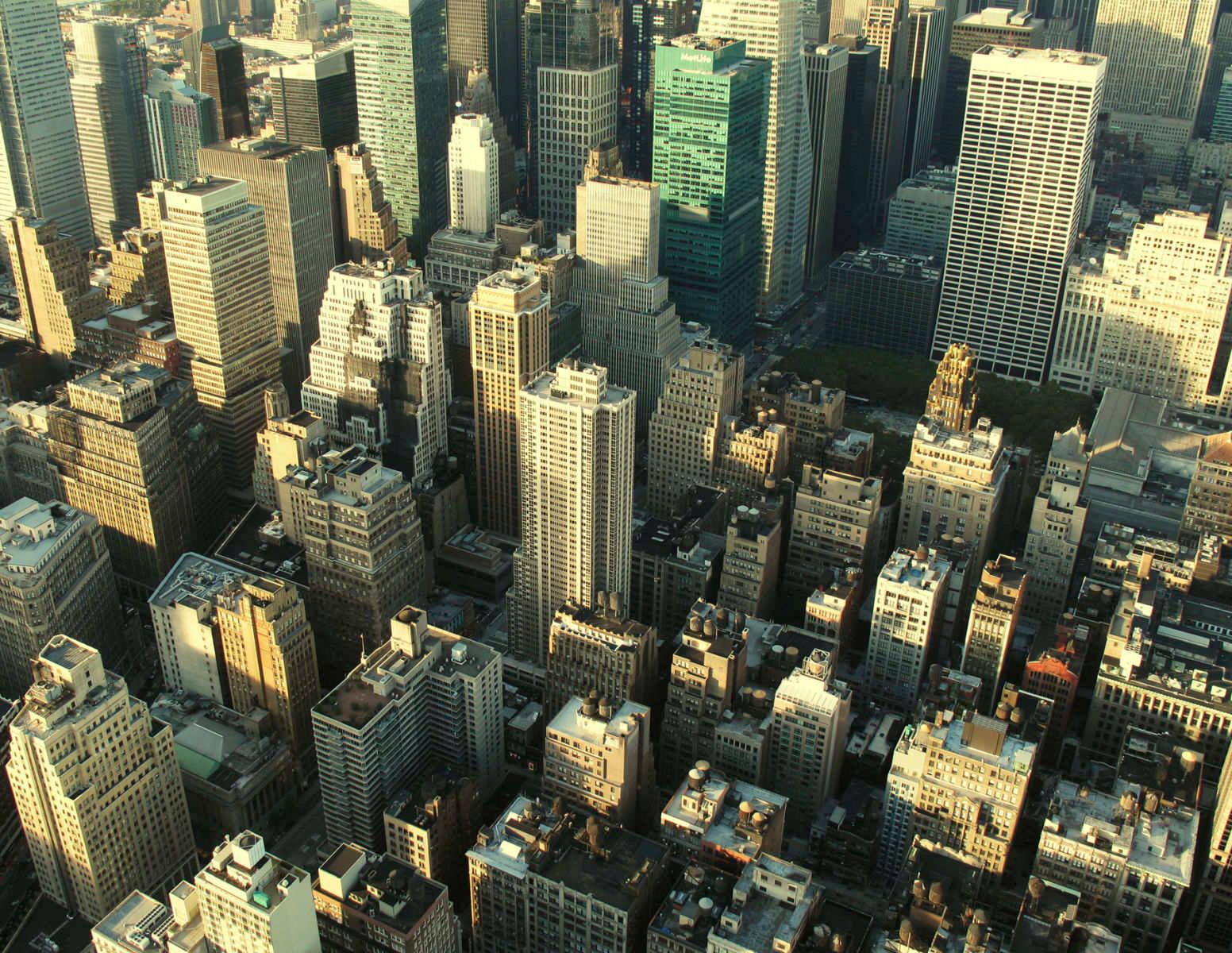 1ny_look_down_1_final_21100_copy