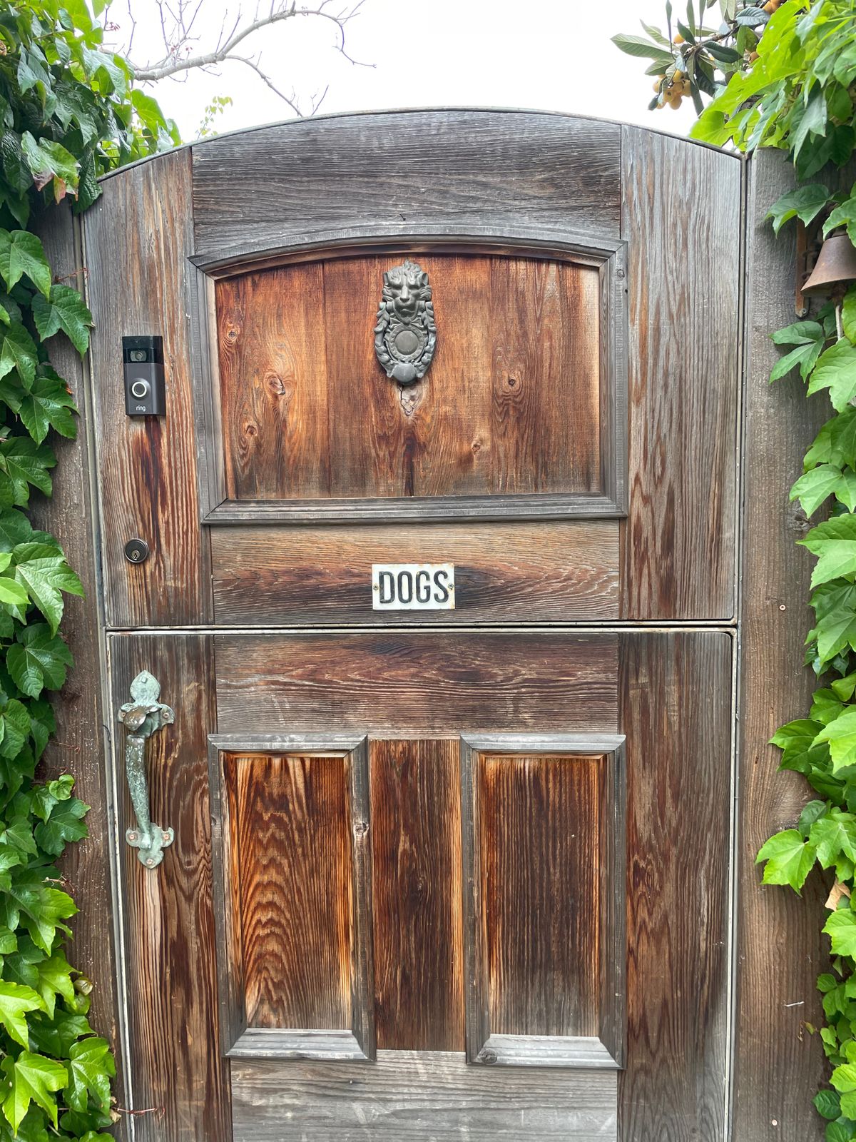 Doors - 1 of 1.jpeg