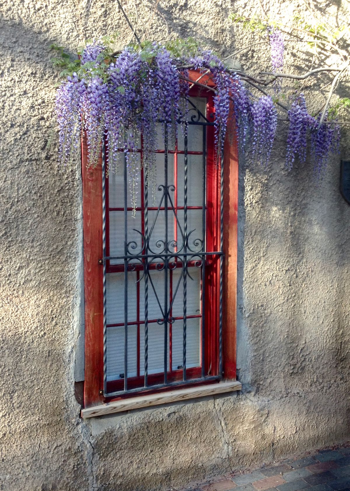 Wisteria&Window:Santa Fe.jpeg