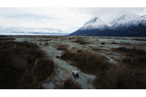 Gif.5.gif