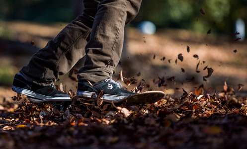 Jeremy Jones. Tokyo, Japan. Powersliding through a pile of maple leaves in Japan in a park. Skateboarder slides through fall leaves