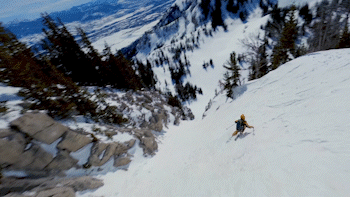 Gif.38.gif