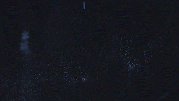 Lifey.6.gif
