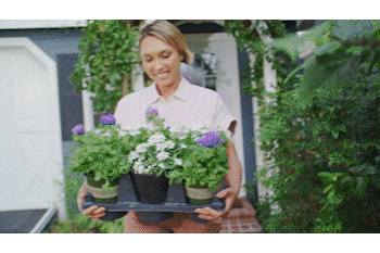 Gif.24.gif