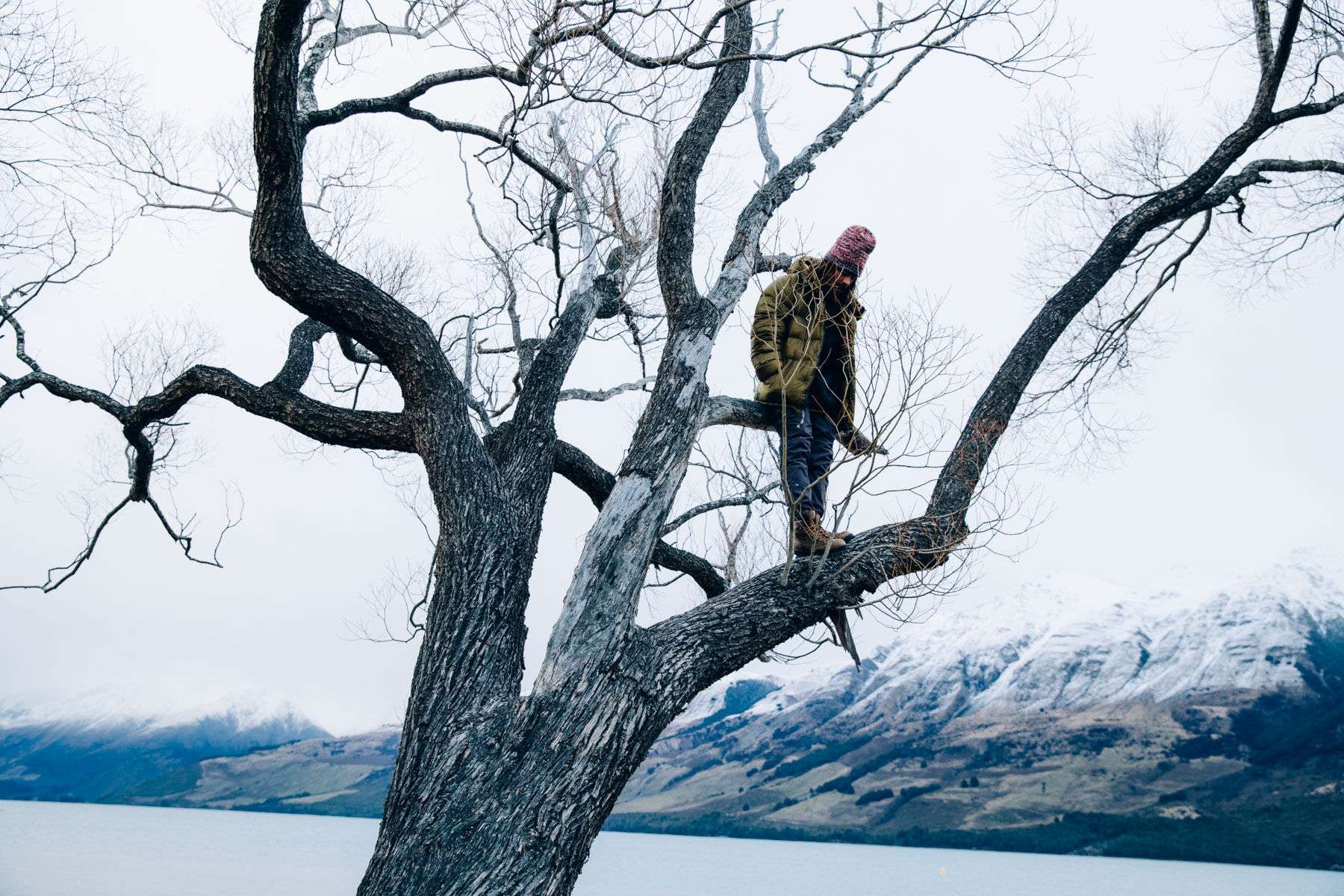New Zealand, Burton Winter Necessities and Softgoods Campaign for 2017 Danny Davis, Tree Climb
