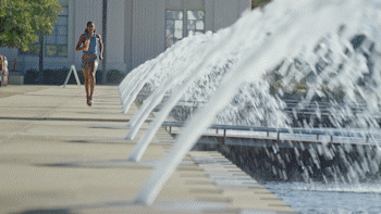 Lifey.8.gif