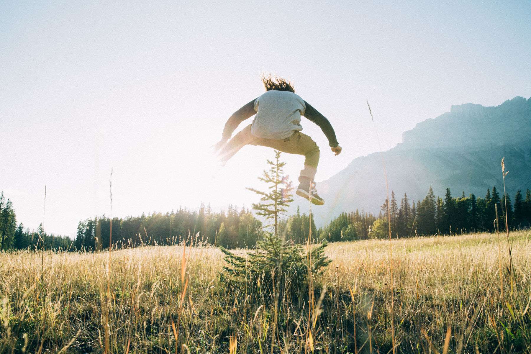 Campaign shoot for Burton Snowboards 2016 Fall/ Winter line. Shot in Banff Alberta Danny Davis. Tree Hopping, Banff