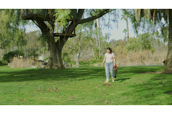 Gif.23.gif