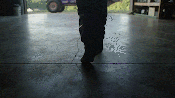 Lifey.9.gif
