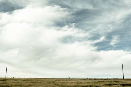 Justin Eeles. Idaho Falls, ID. Pushing across a large open landscape with grass in the foreground symmetrically framed against a large sky. Skateboarder pushes across great flat landscape
