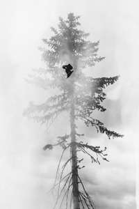 Mons Roisland. Aspen, CO. A double exposure photo shot in black and white Snowboarder flying in front of tree