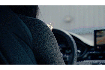 Gif.20.gif