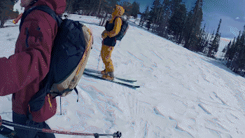 Gif.39.gif