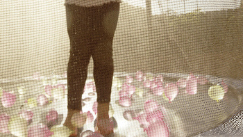 Lifestyle 14.gif