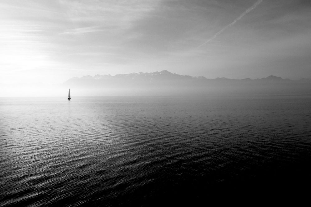 sailing-boat-569336.jpg