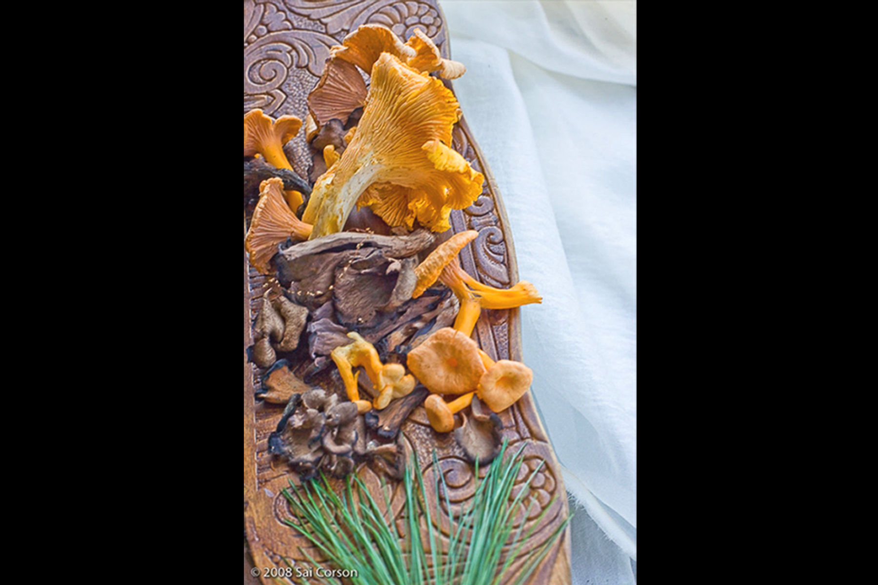 Chantrelles