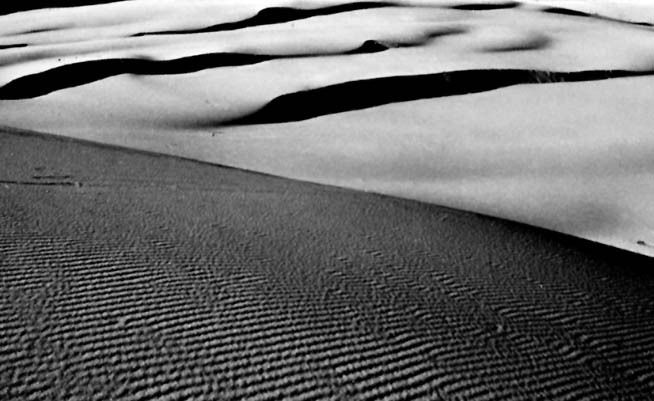 Dunes 2: Christmas Island, Oregon