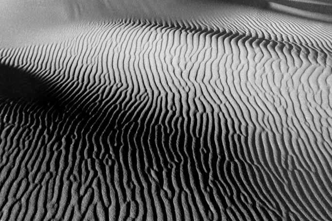 Dunes 1: Christmas Island, Oregon