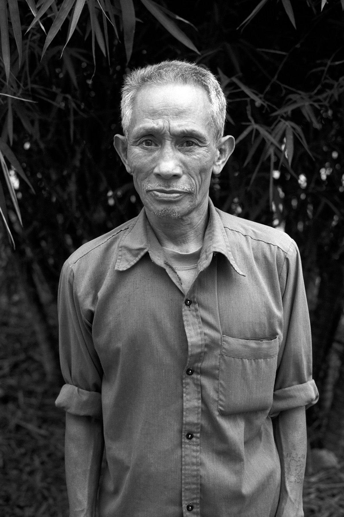 NGUYEN VAN BANG2012
