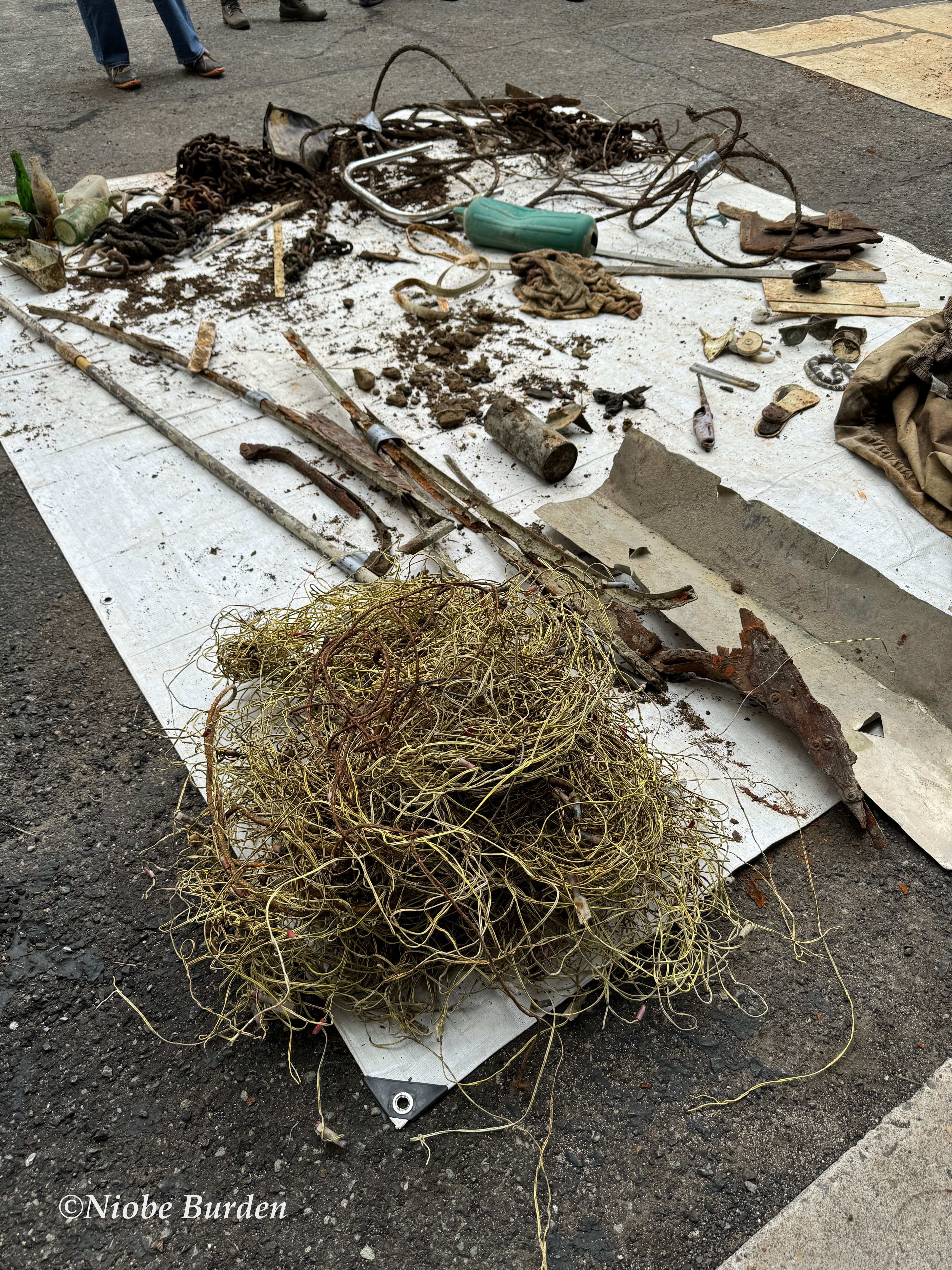 Items found in dive sort from Lake Tahoe