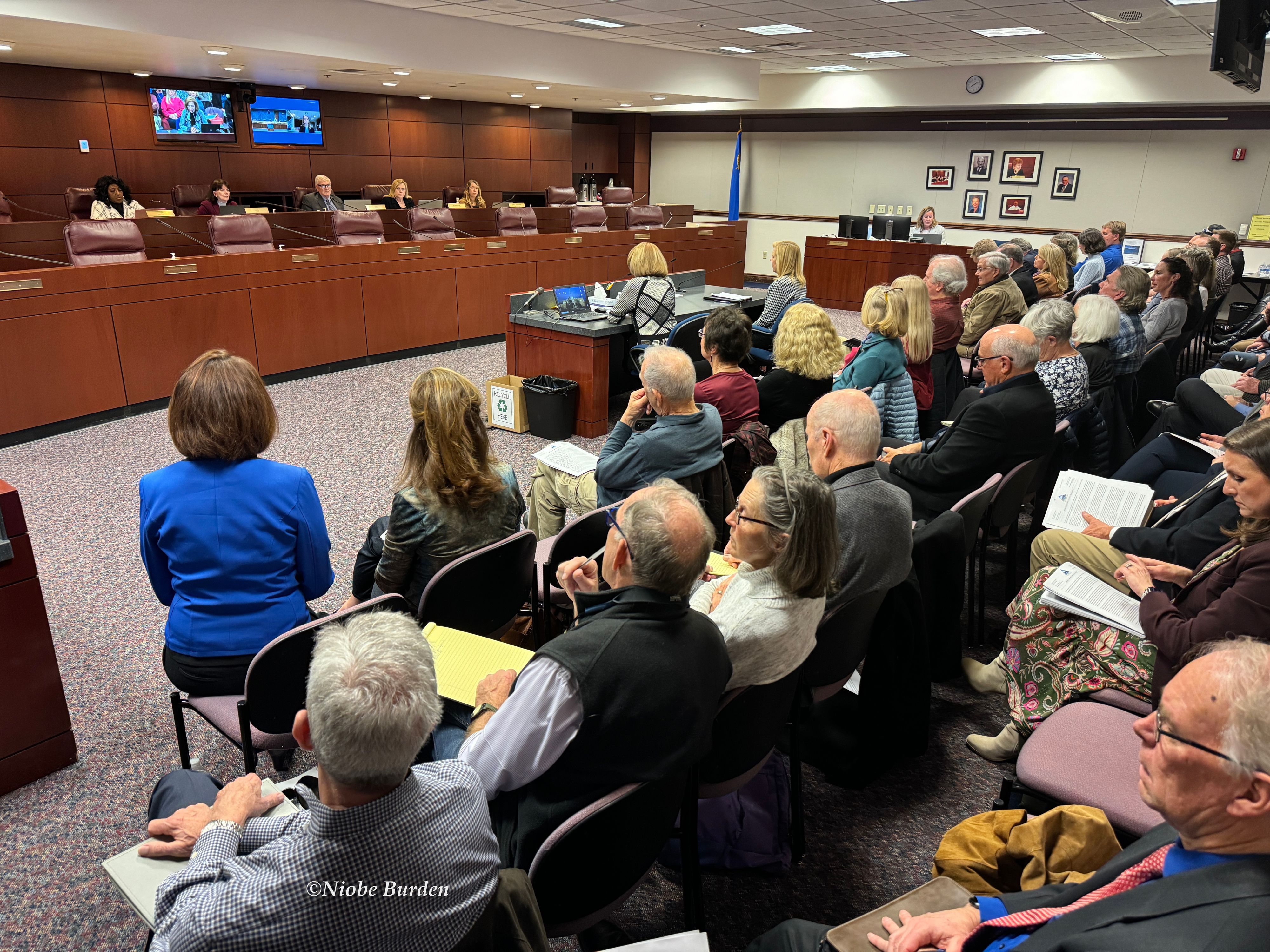 Protest speakers at a Nevada Legislative Committee meeting