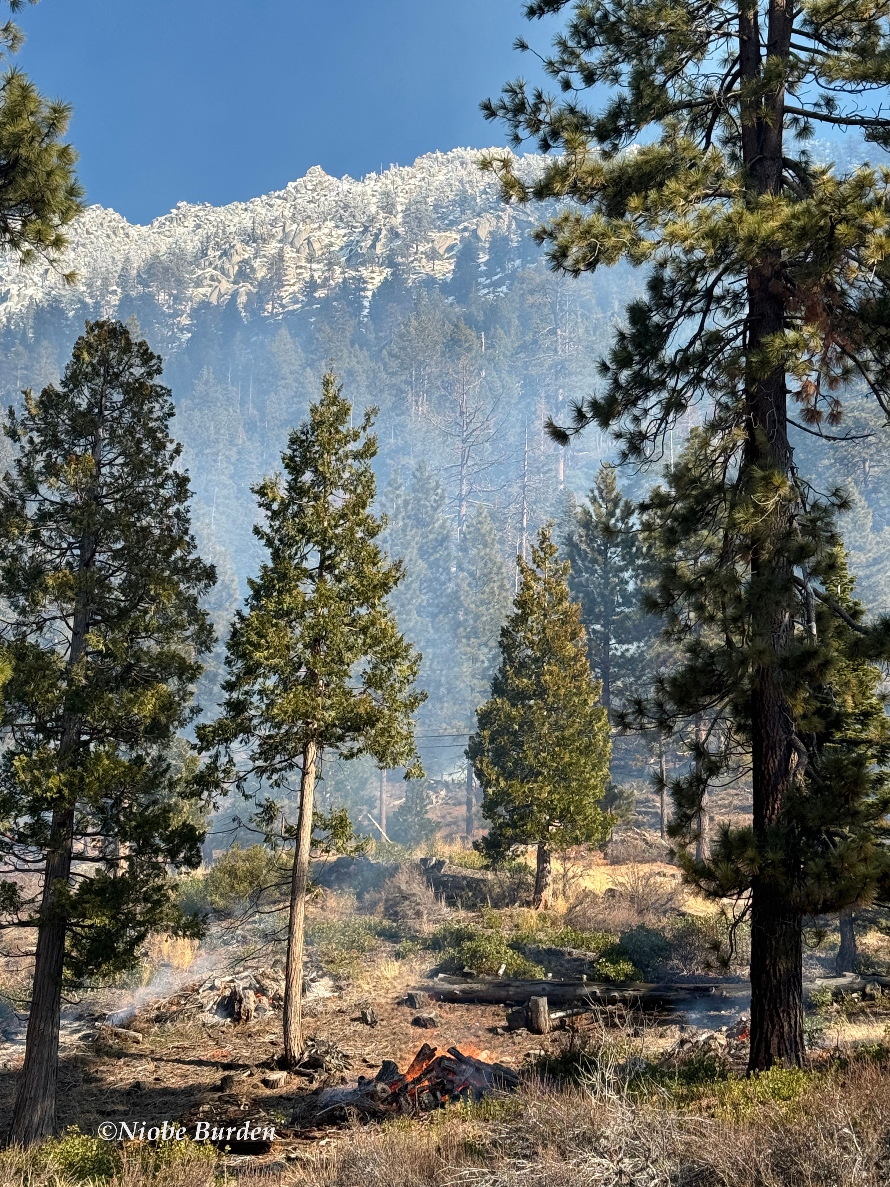 Forest service controlled wildfire burns in Tahoe