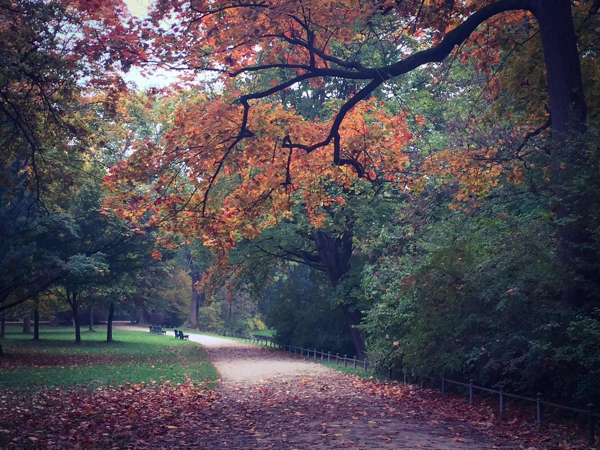 Autumn in the Englisher Garten
