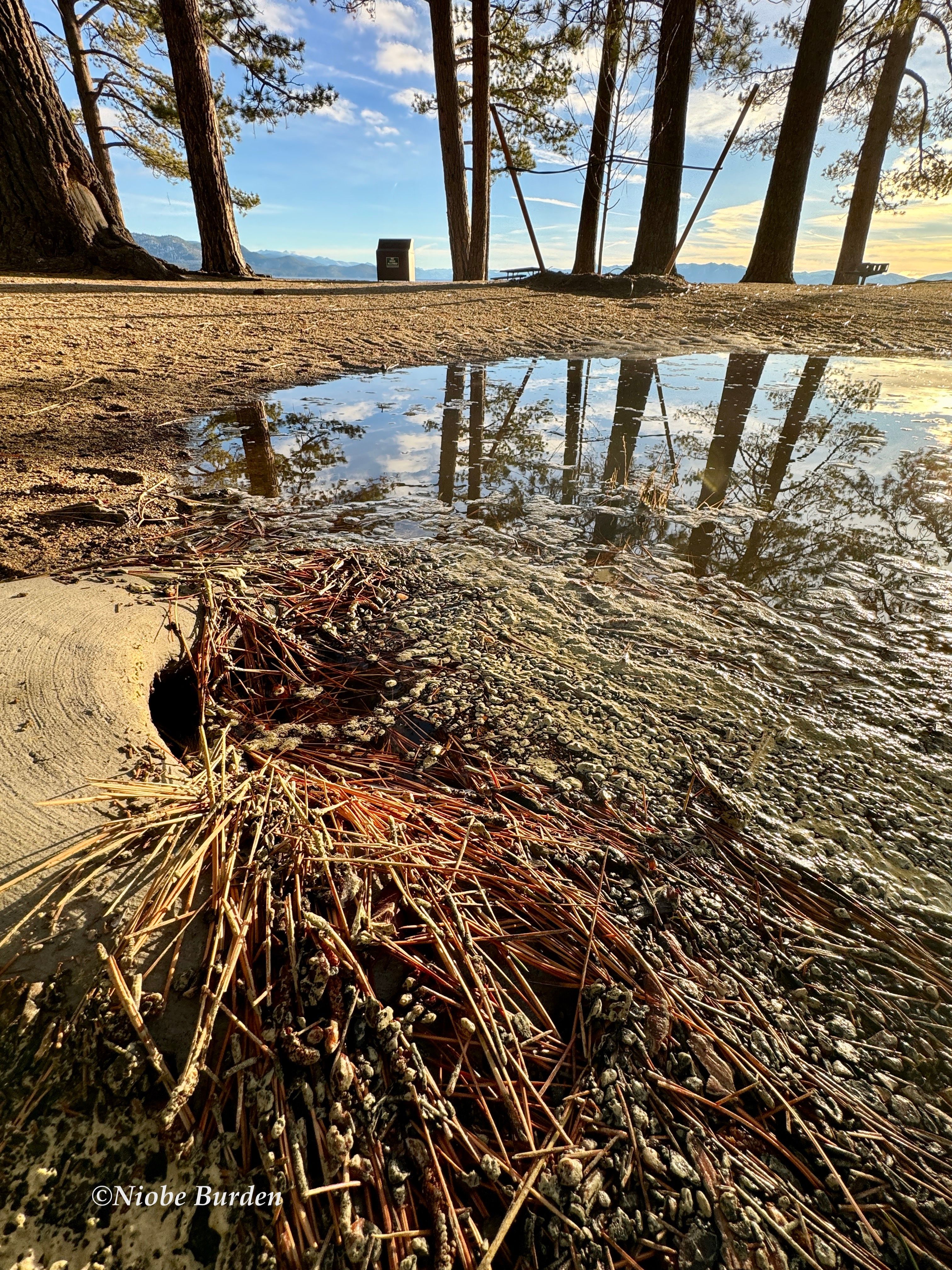 Styrofoam pollution in drain to Tahoe