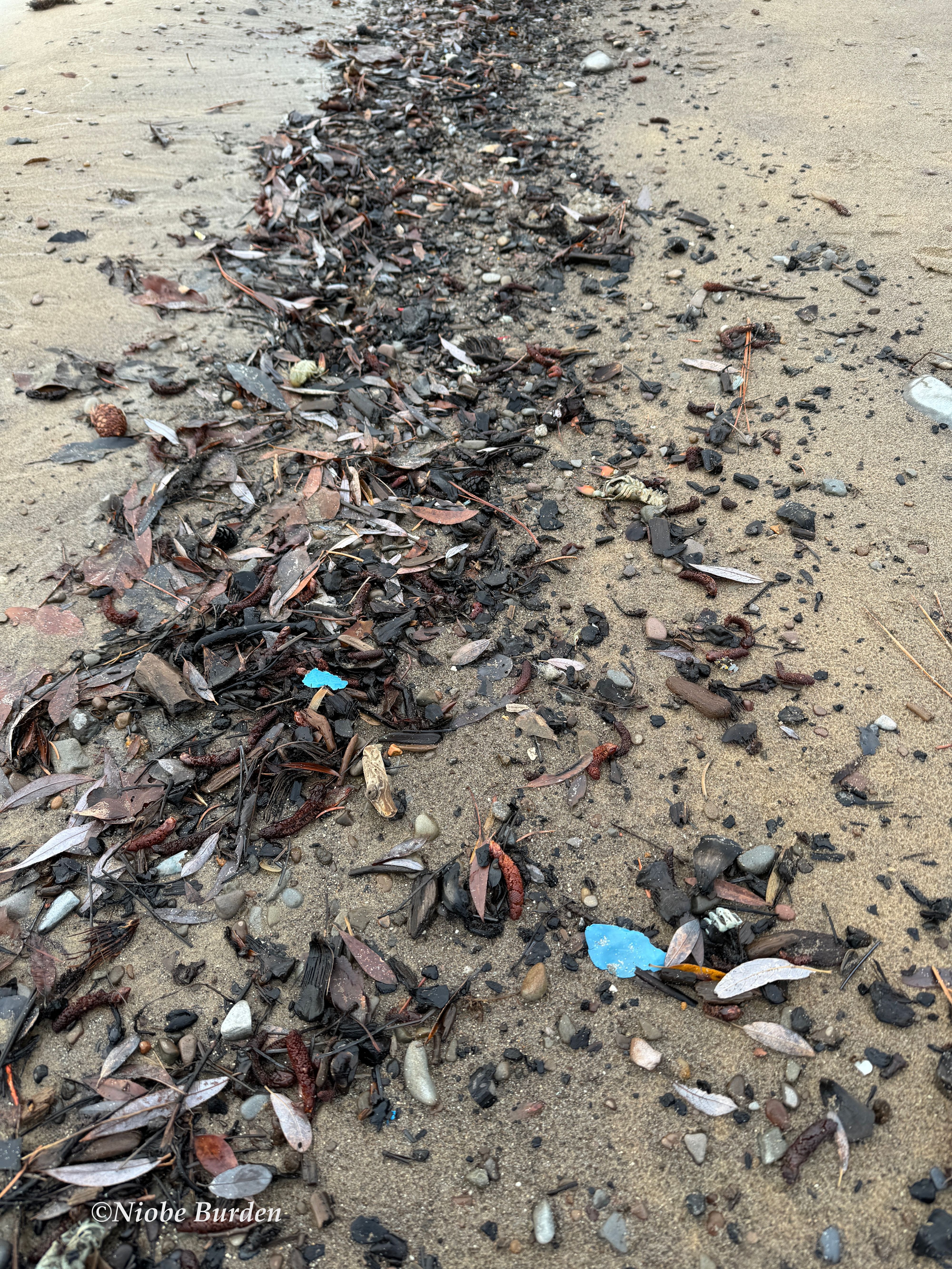 Microplastic pollution on Tahoe beach