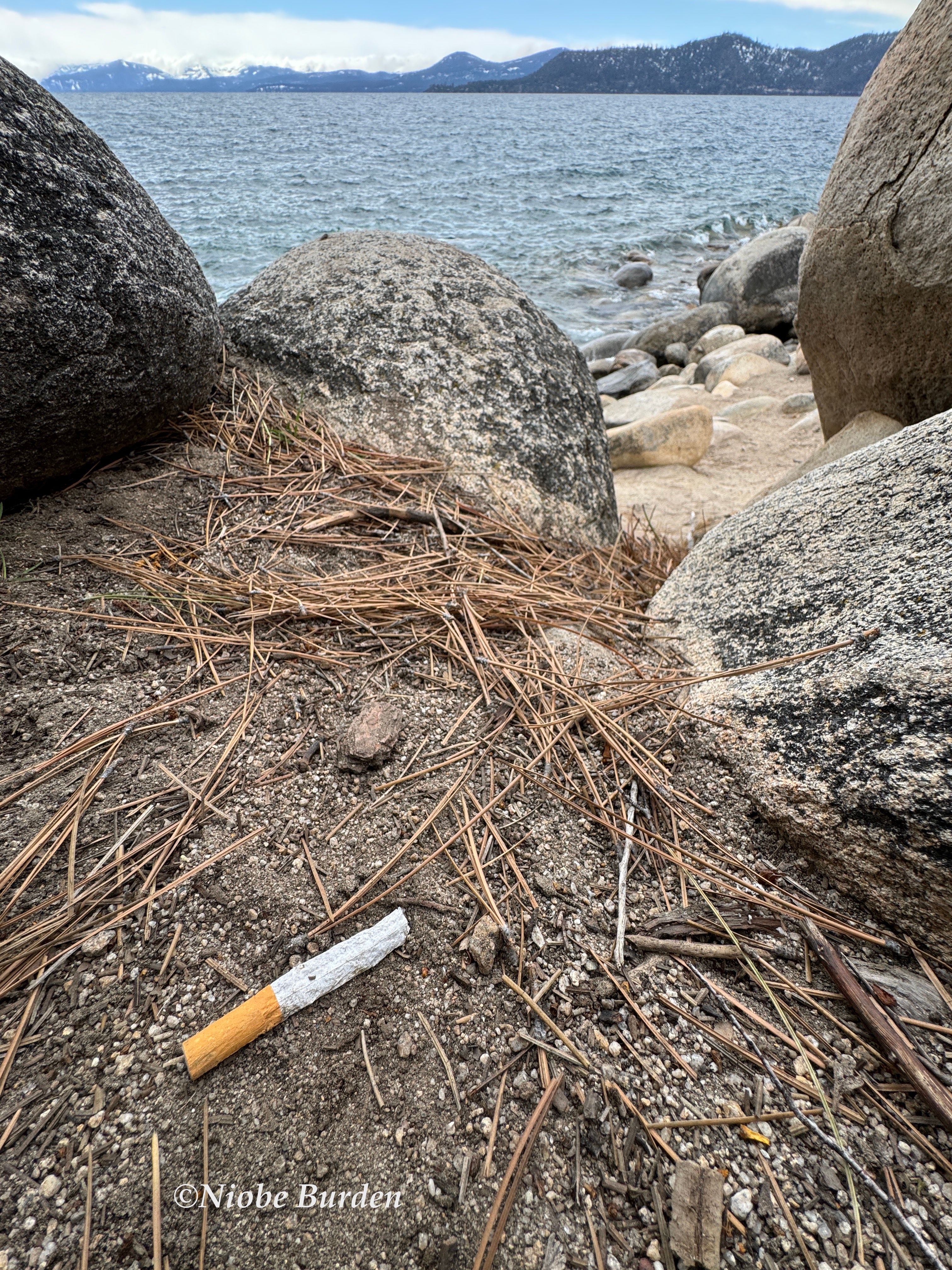 Smokers cigarette butt discarded on the Tahoe shore