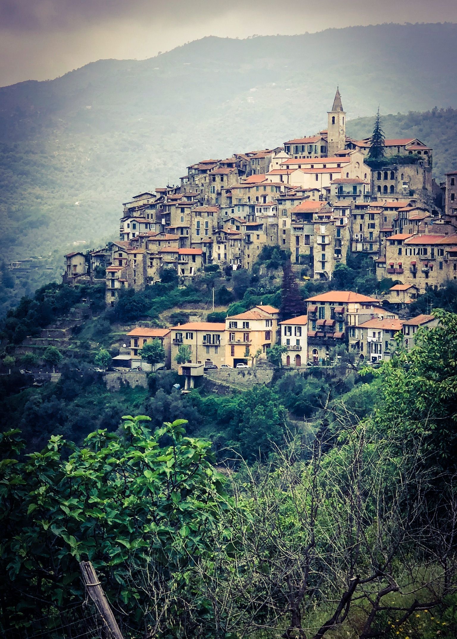 Village of Apricale