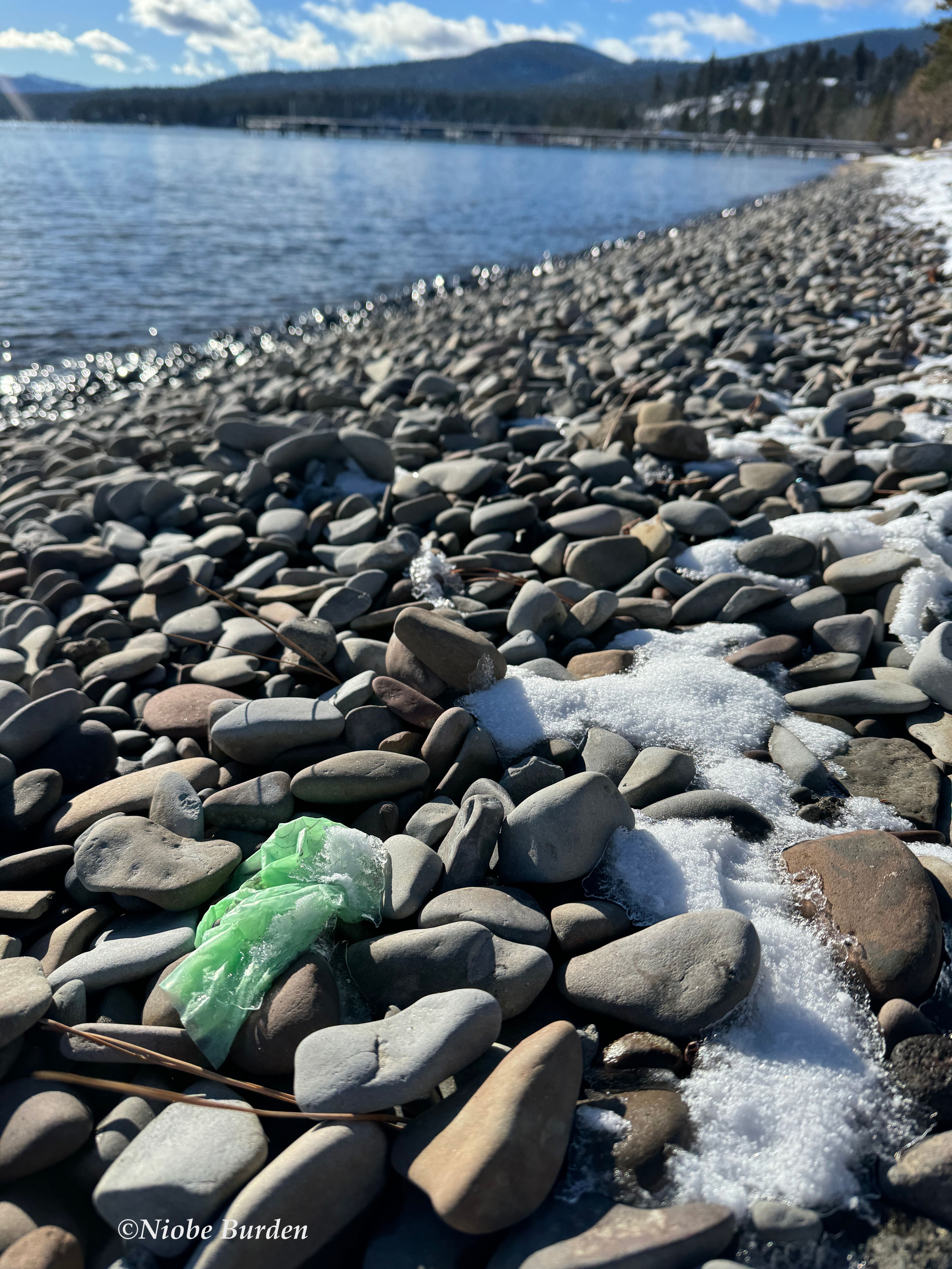 Rubber glove washed up on Tahoe beach