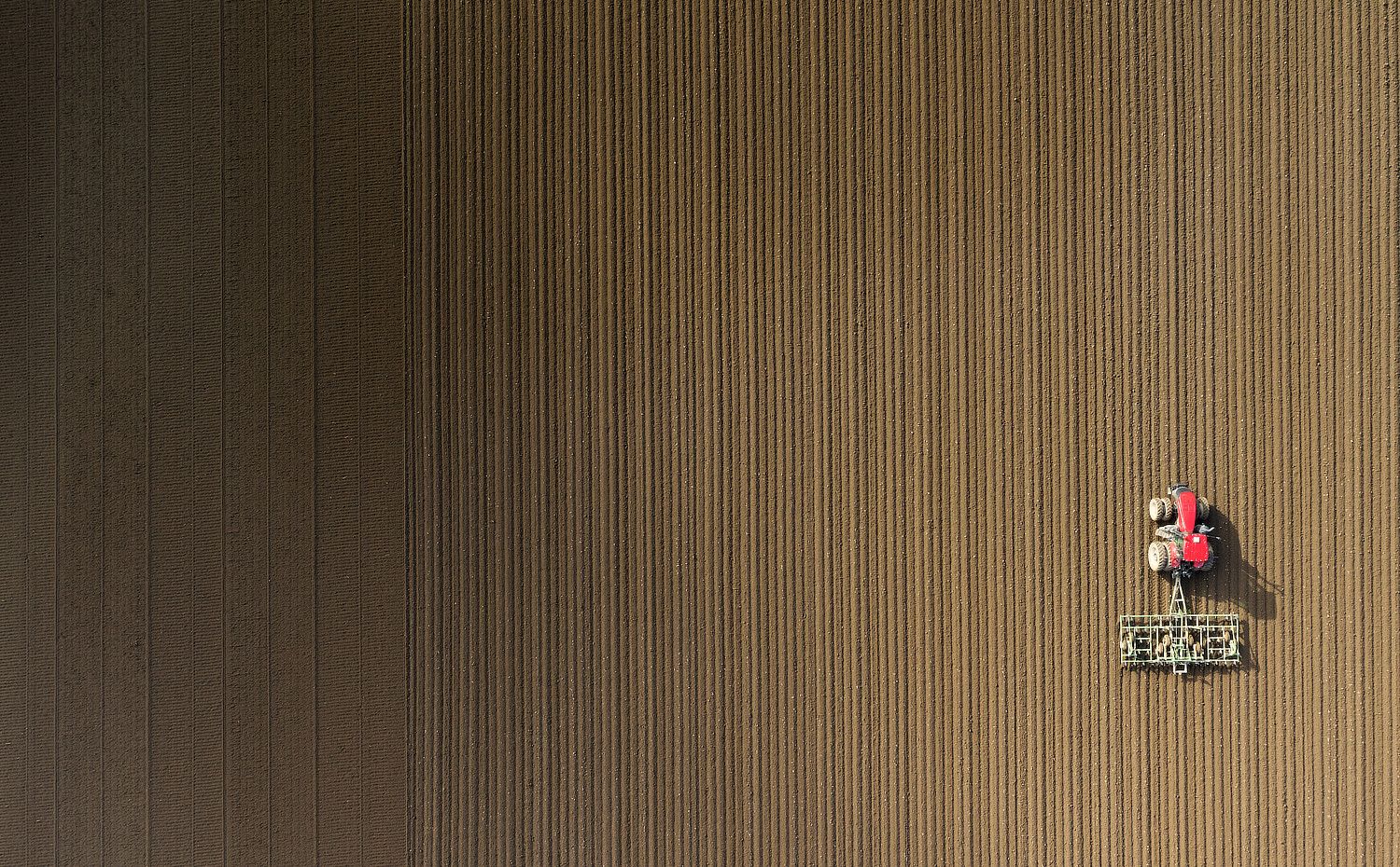 AgArt005.jpg