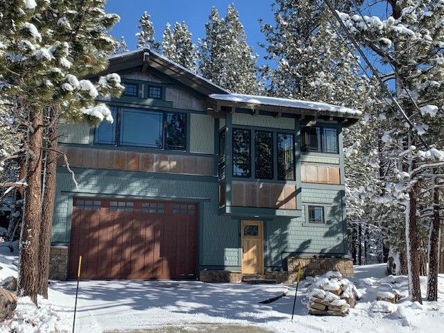 forest trail front full.jpg