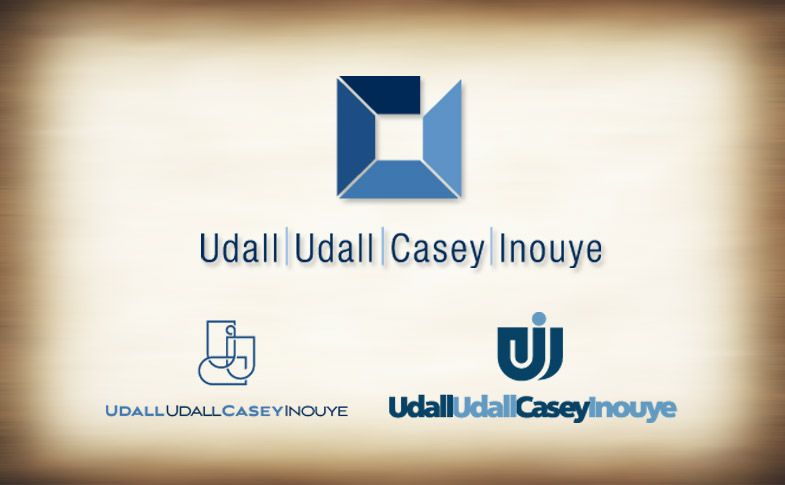 Accounting Firm - Chosen logo and proposed concepts