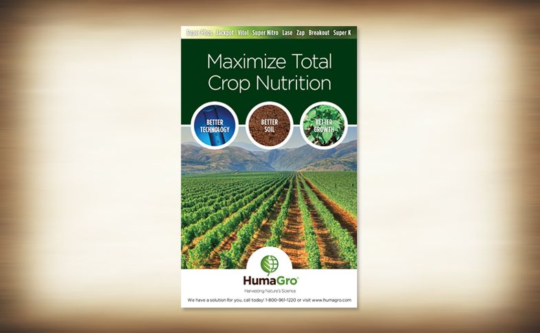 Agricultural Product Ad Series