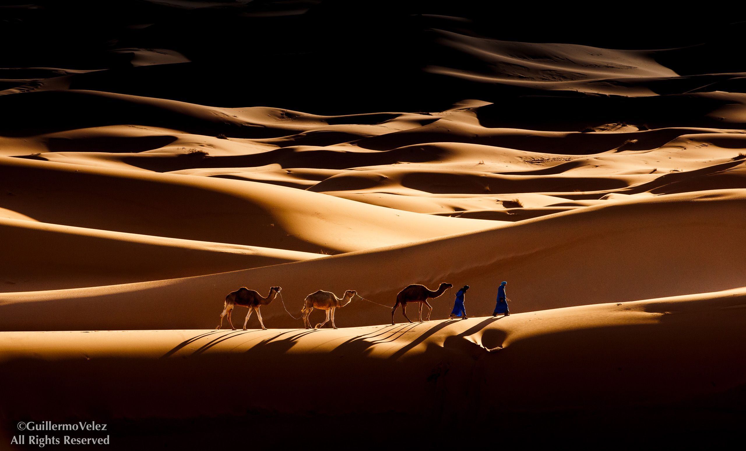20140403_Camels_0512-Edit-2.jpg