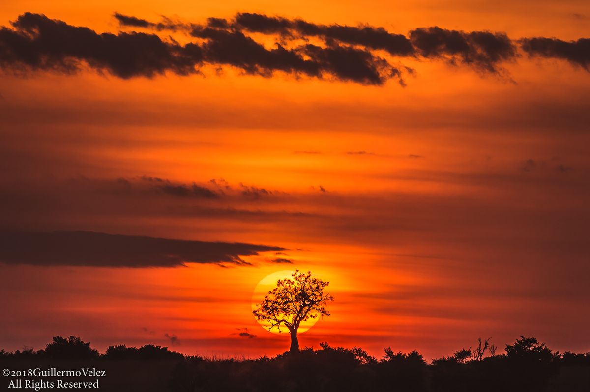 MasaiMara_Sunset-0557.jpg