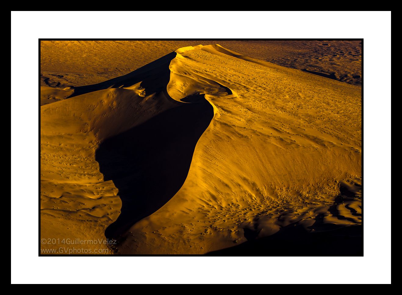 20141115_untitled_0150 copy.jpg