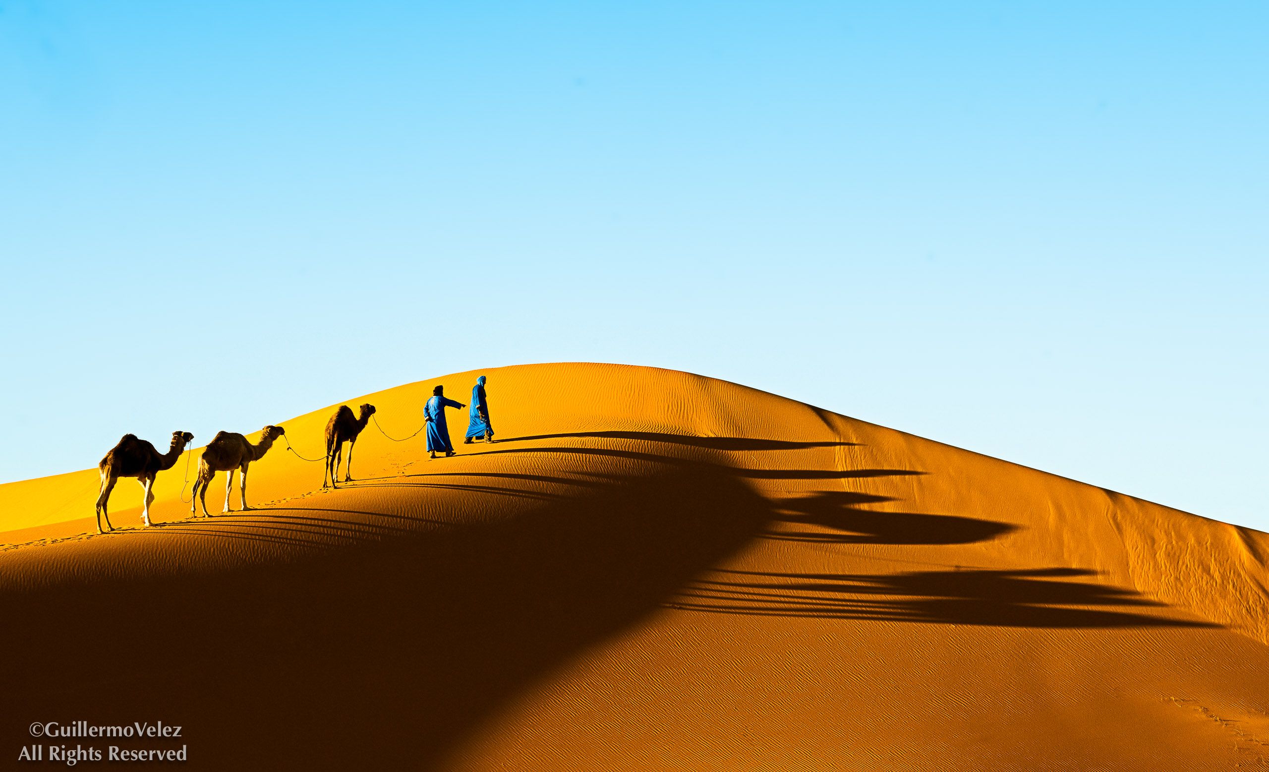 20140403_Camels_0356-Edit.jpg