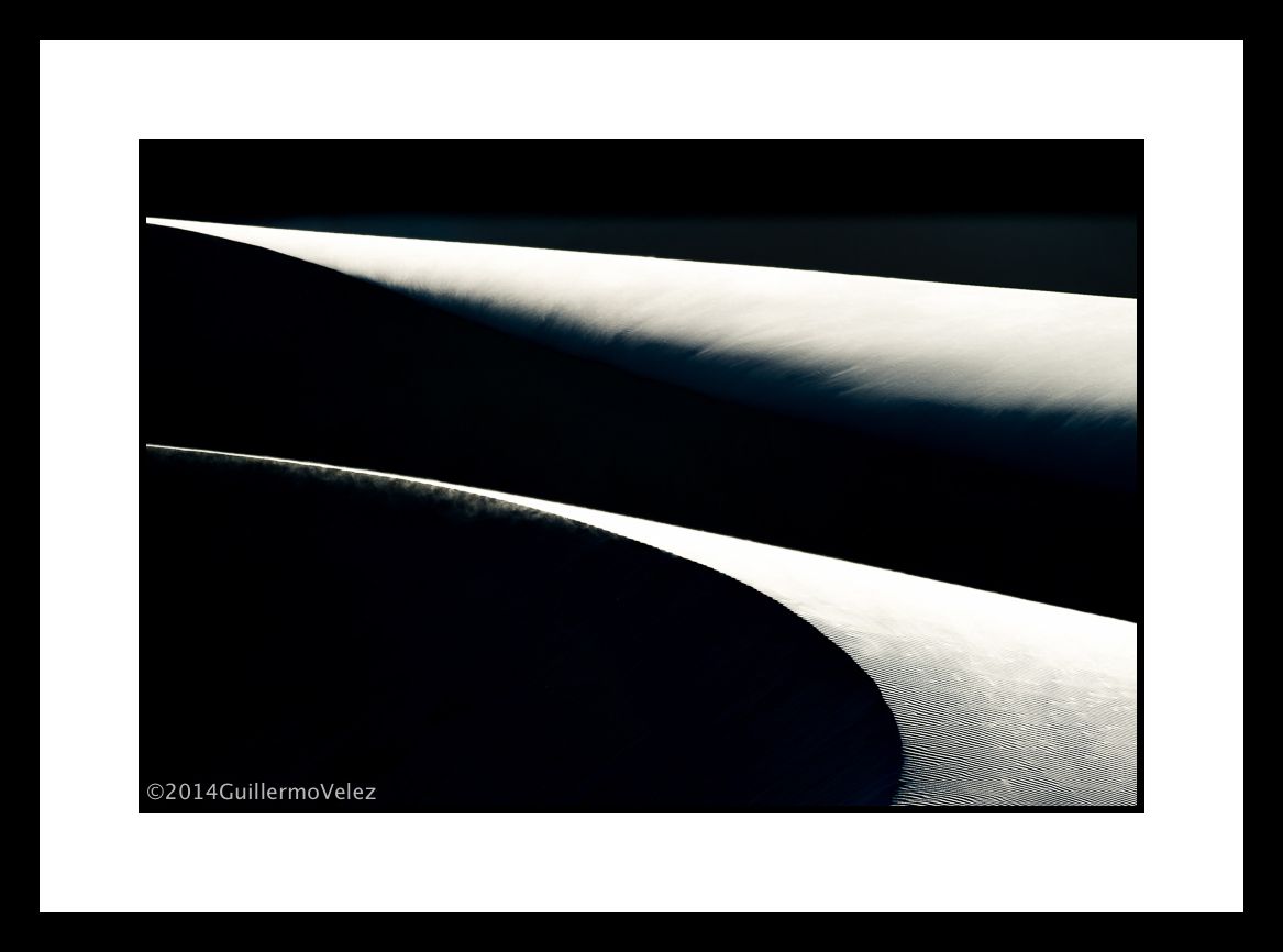 20141120_Namibia2_0345 copy.jpg