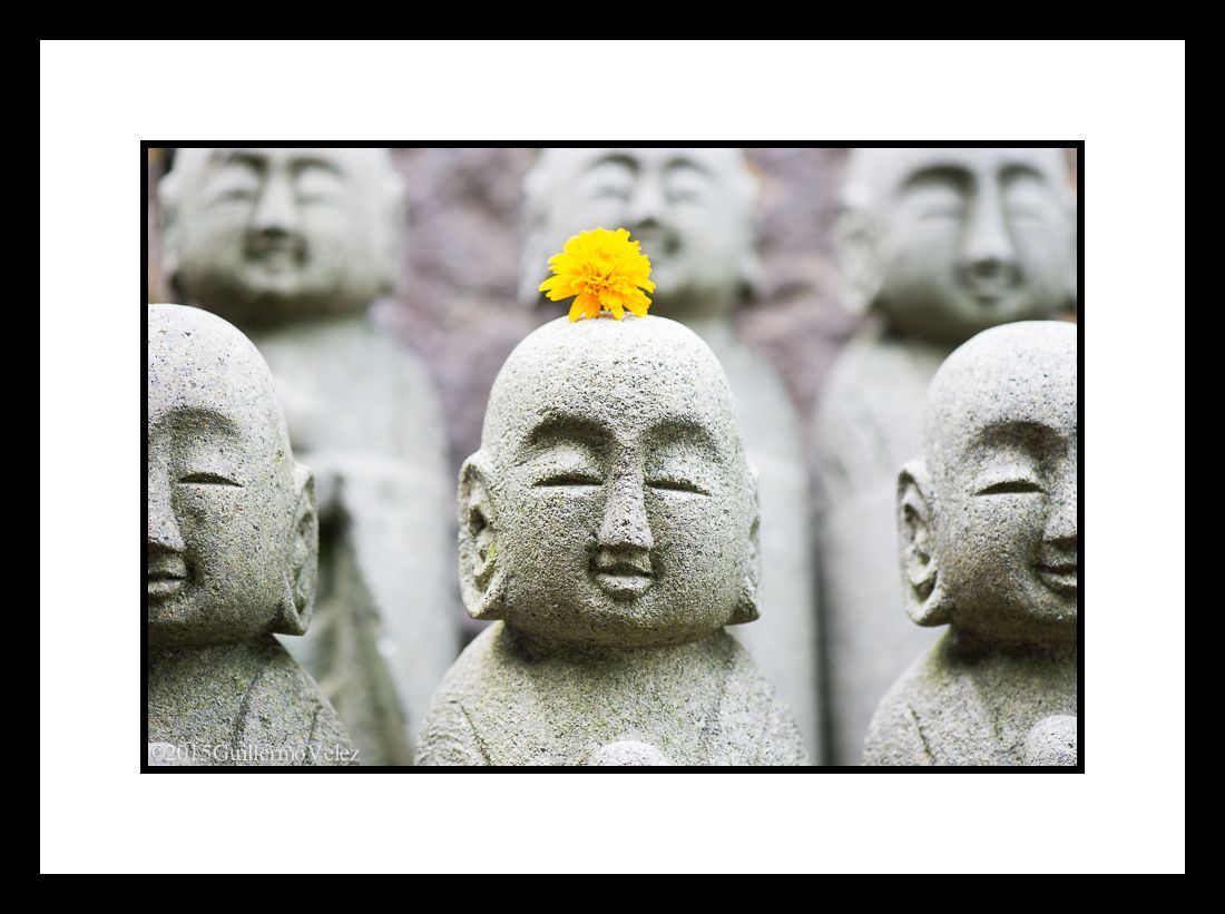 20150622_Japan_3_0454 copy.jpg