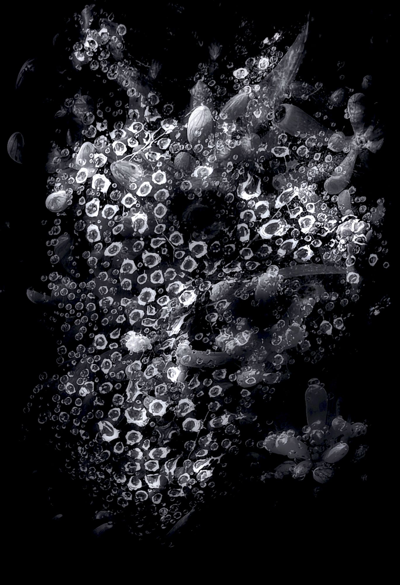 Tiny Immensity #42 - Dew Nebula ©2022 L. Aviva Diamond