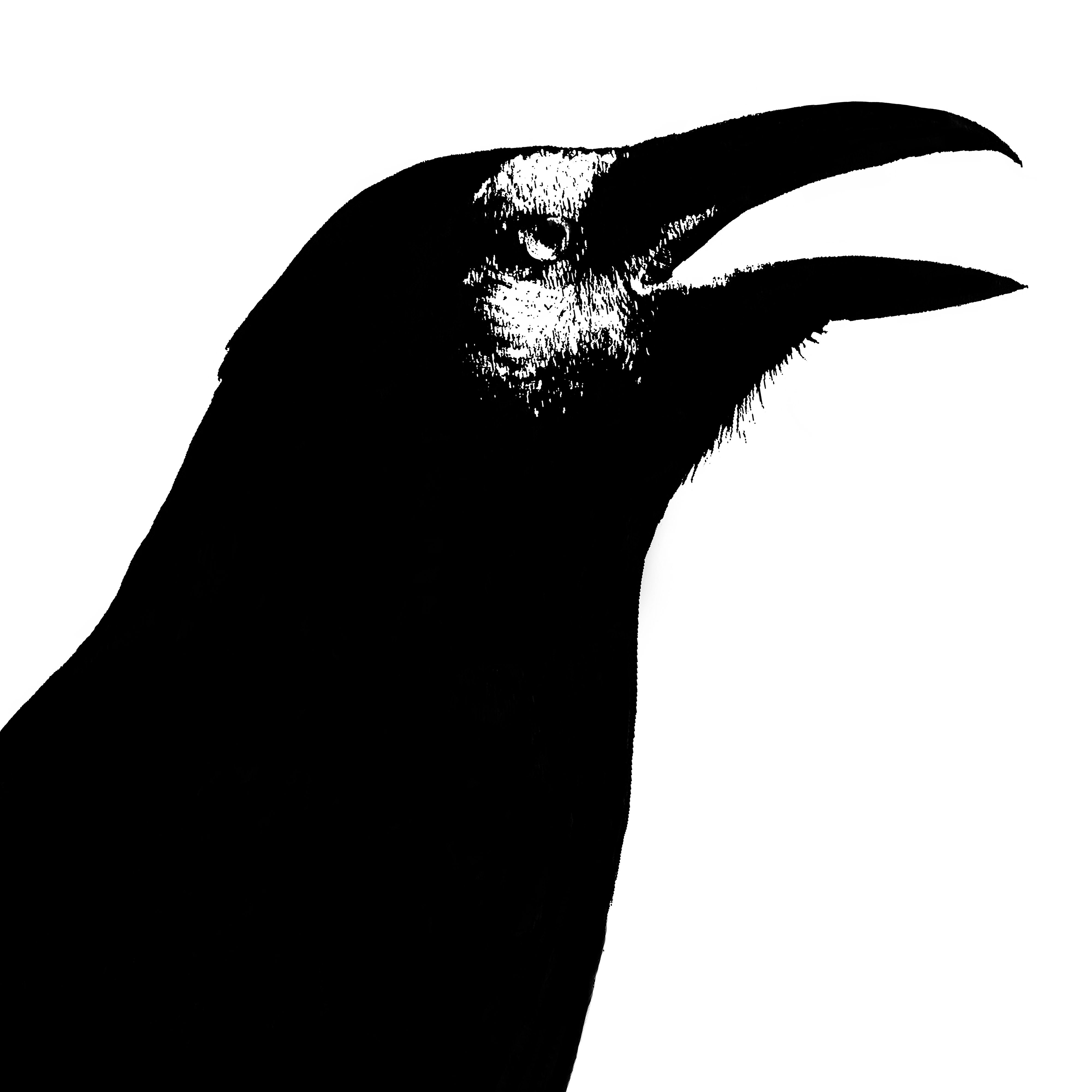 Bird Series #40 - Crow Doctor ©2021 L. Aviva Diamond