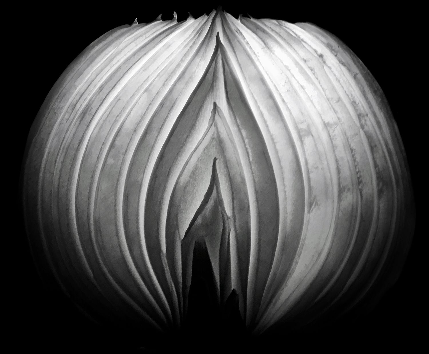 Tiny Immensity #33 - Eternal Flame of the Aging Onion in the Time of Covid ©2020 L. Aviva Diamond