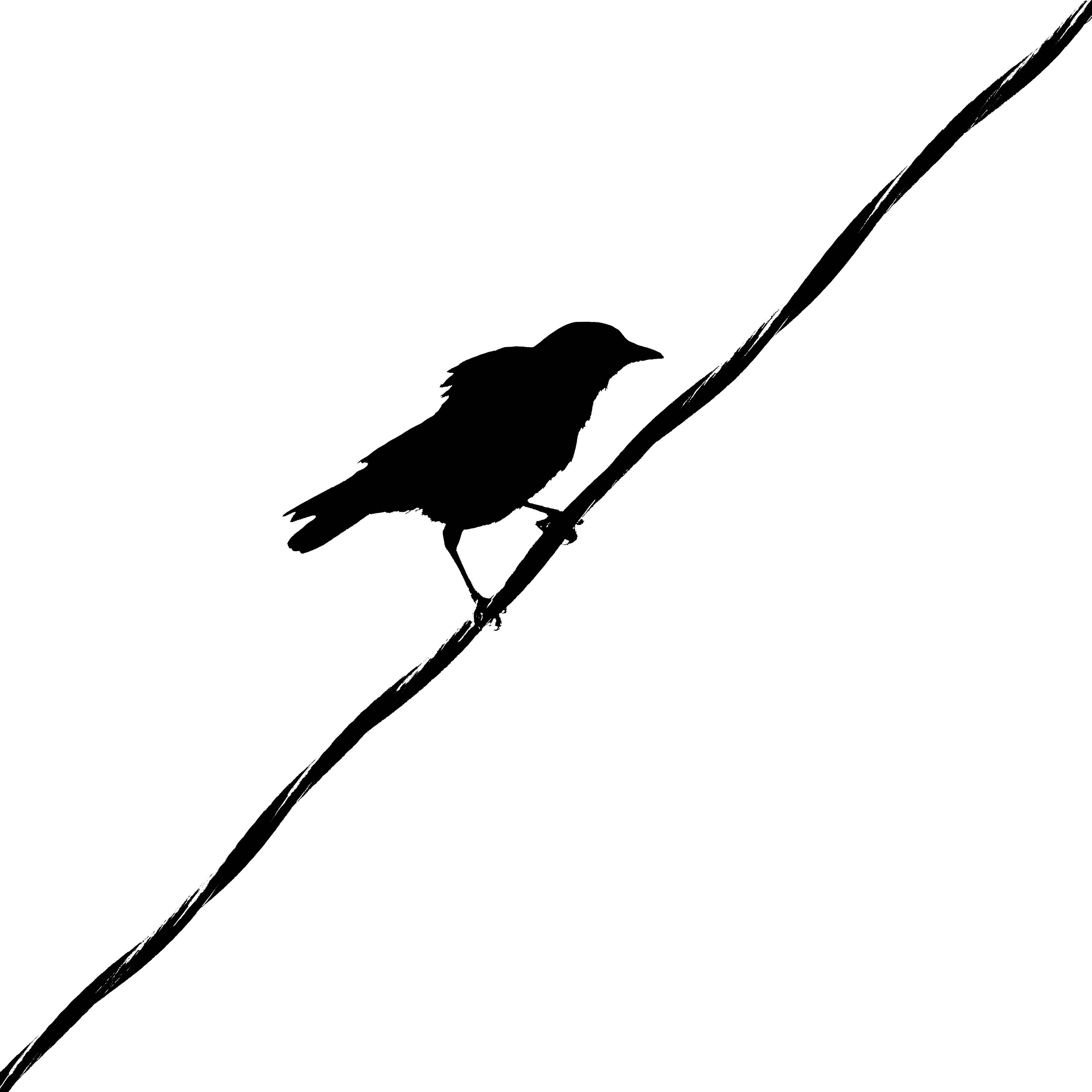 Bird Series #30 - Hanging On ©2021 L. Aviva Diamond