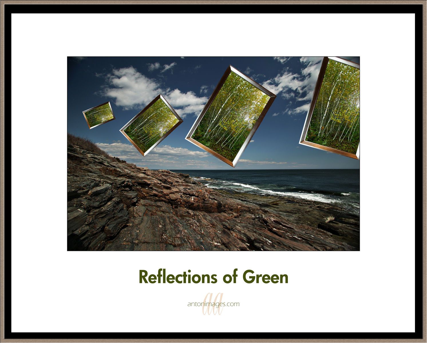 1reflections_of_green___.jpg