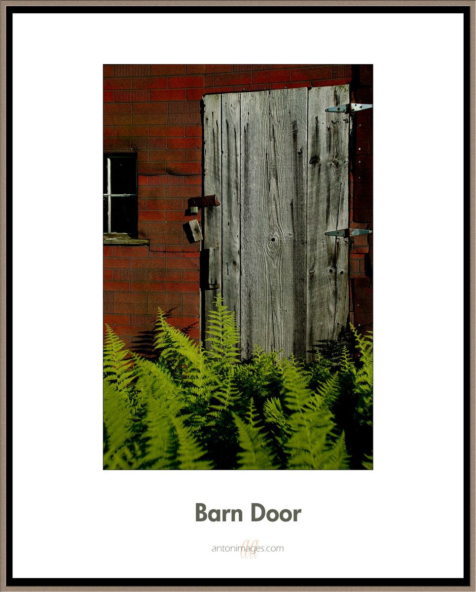 1barn_door_.jpg