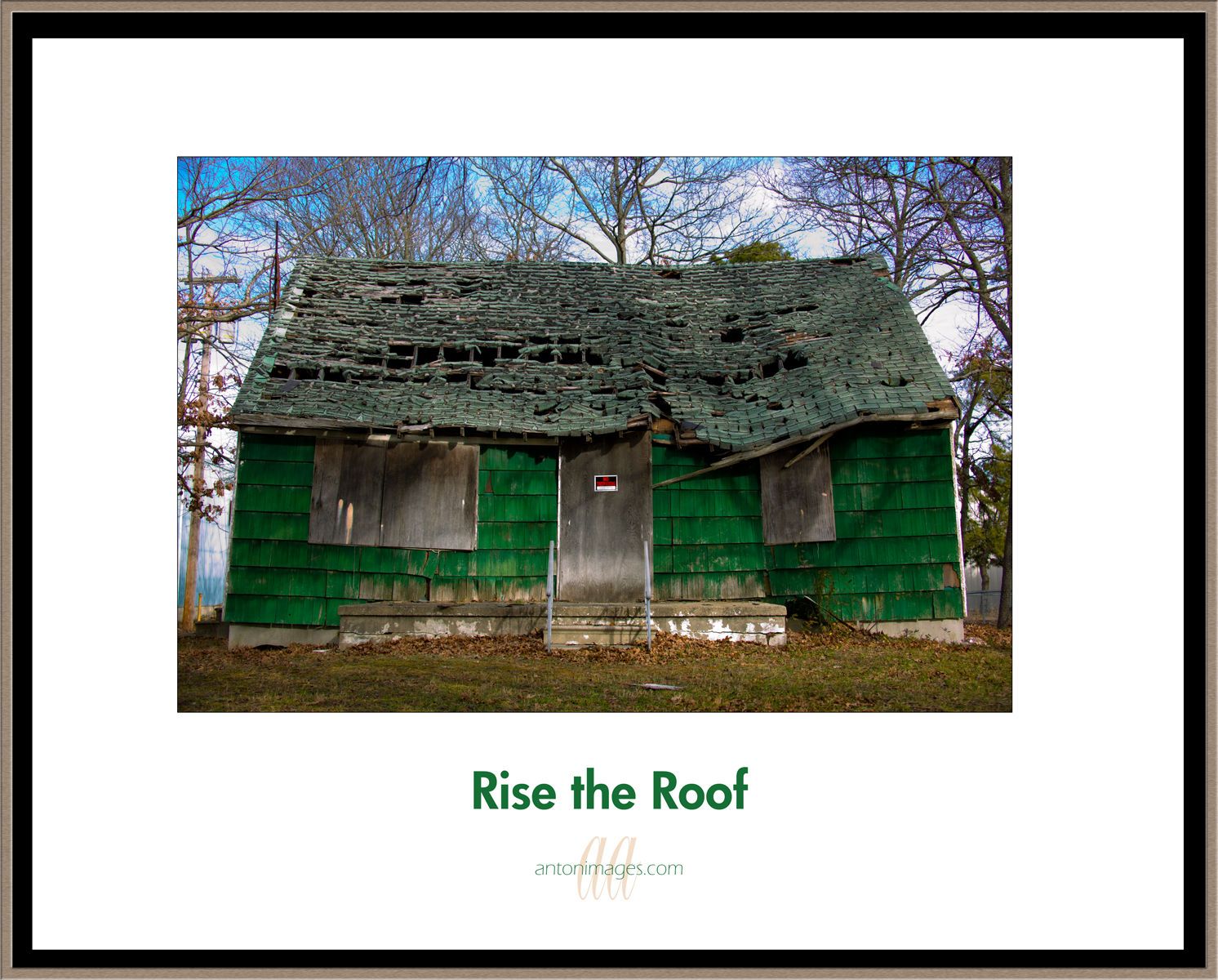 1rise_the_roof_.jpg
