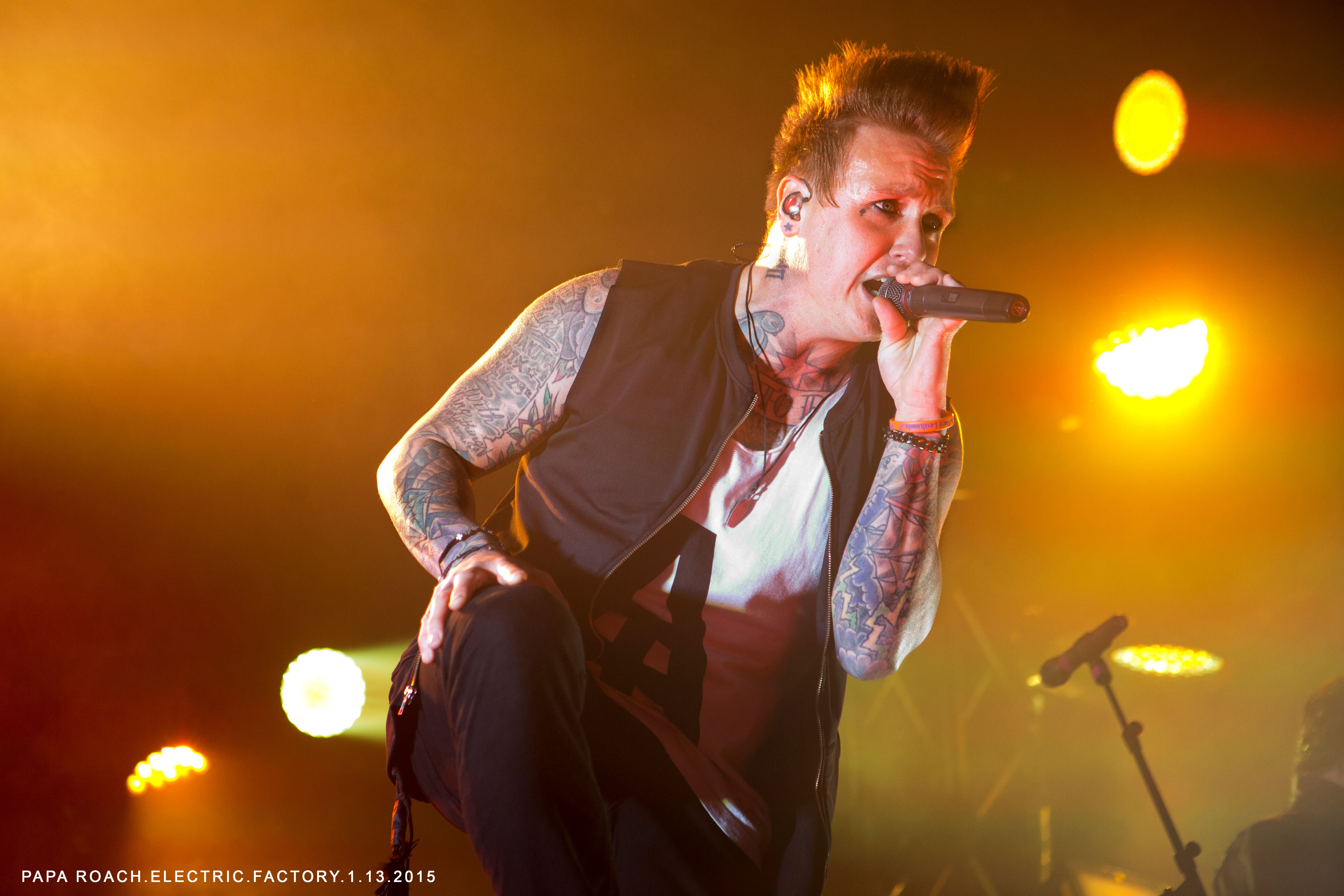 LDO_4084_Papa_Roach_Electric_Factory_1_13_2015.jpg